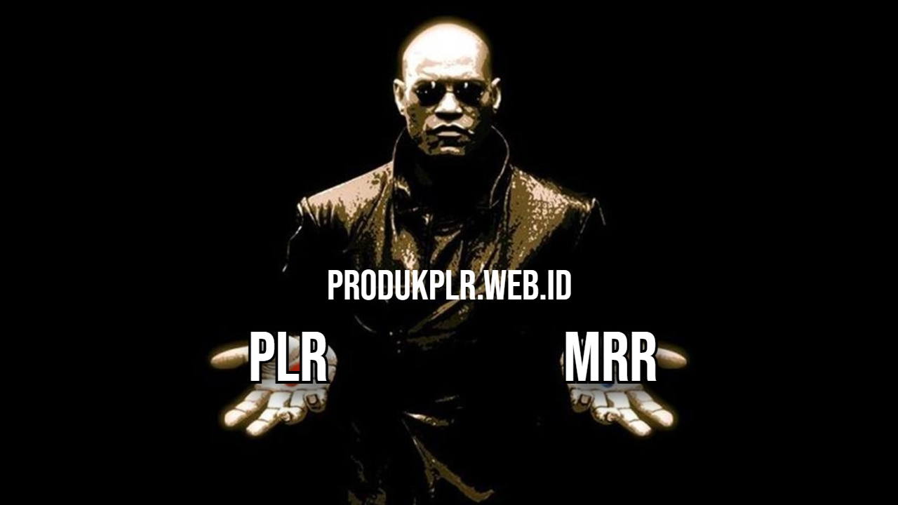Lebih Menguntungkan! Inilah Kelebihan Produk PLR Dibandingkan dengan Produk MRR